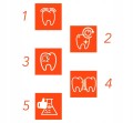 elmex-CARIES-Pasta-do-zebow-na-prochnice-75-ml-Przeznaczenie-dla-doroslych.jpeg