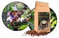Kawa-ziarnista-espresso-crema-1kg-SWIEZO-PALONA-100-ARABICA-High-Mountain-Marka-Yankee-Caffee.jpeg