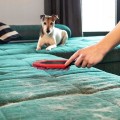 Szczotka-elektrostatyczna-do-siersci-i-wlosow-Vileda-Pet-Pro-Nazwa-handlowa-Vileda-Pet-Pro.jpeg