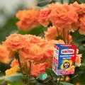 Substral-Srodek-grzybobojczy-i-owadobojczy-2w1-roza-kwiaty-100-ml-Stan-opakowania-oryginalne.jpeg