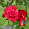 SUBSTRAL-Kompleksowa-Ochrona-2w1-Roza-na-mszyce-maczniak-rdze-spray-800-ml-Waga-produktu-z-opakowaniem-jednostkowym-1-kg.jpeg