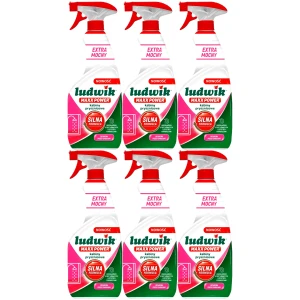 Mocny płyn do kabin prysznicowych Ludwik Maxx Power Spray 6x600ml (1)
