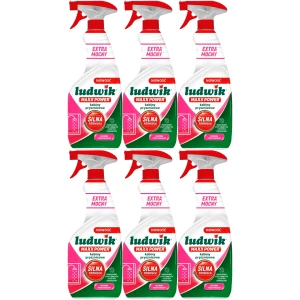 Mocny płyn do kamienia i rdzy Ludwik Maxx Power Kuchnia Łazienka Spray 6x600ml