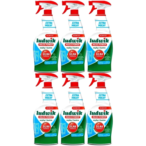 ludwik-maxx-szyby-lustra-6x-xlak.png