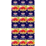 Nawóz do kwiatów SUBSTRAL Burza Osmocote Balkon Granulat 12x300g 3,6kg