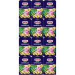 Nawóz uniwersalny SUBSTRAL Osmocote 2w1 długo działający granulat 12x300 3,6kg