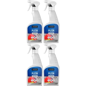 Płyn na pleśń grzyby wilgoć D-LUX Mocny Chlor Spray 2L 4 szt. 