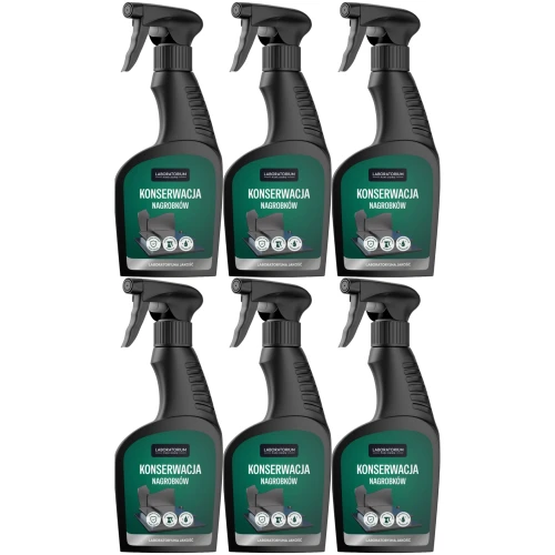 d-lux-lpd-mycie-konserwacja-nagrobkow-grobow-spray-6x-xlak.png