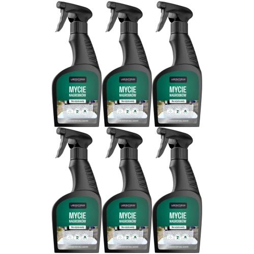 d-lux-lpd-mycie-konserwacja-nagrobkow-grobow-6x-xlak.png