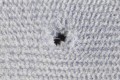Coarse_Wool_polishing_pads_detail-1.jpg
