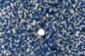 Rotary_wool_polishing_pads_detail.jpg