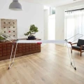97dda175_large.webp