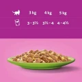 Whiskas-gal-Kurczak-Losos-Tunczyk-Wolowina-40x85g-Marka-Whiskas.webp